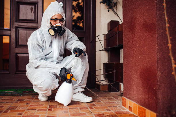 Attic and Crawl Space Rodent Treatment in Shell Ridge